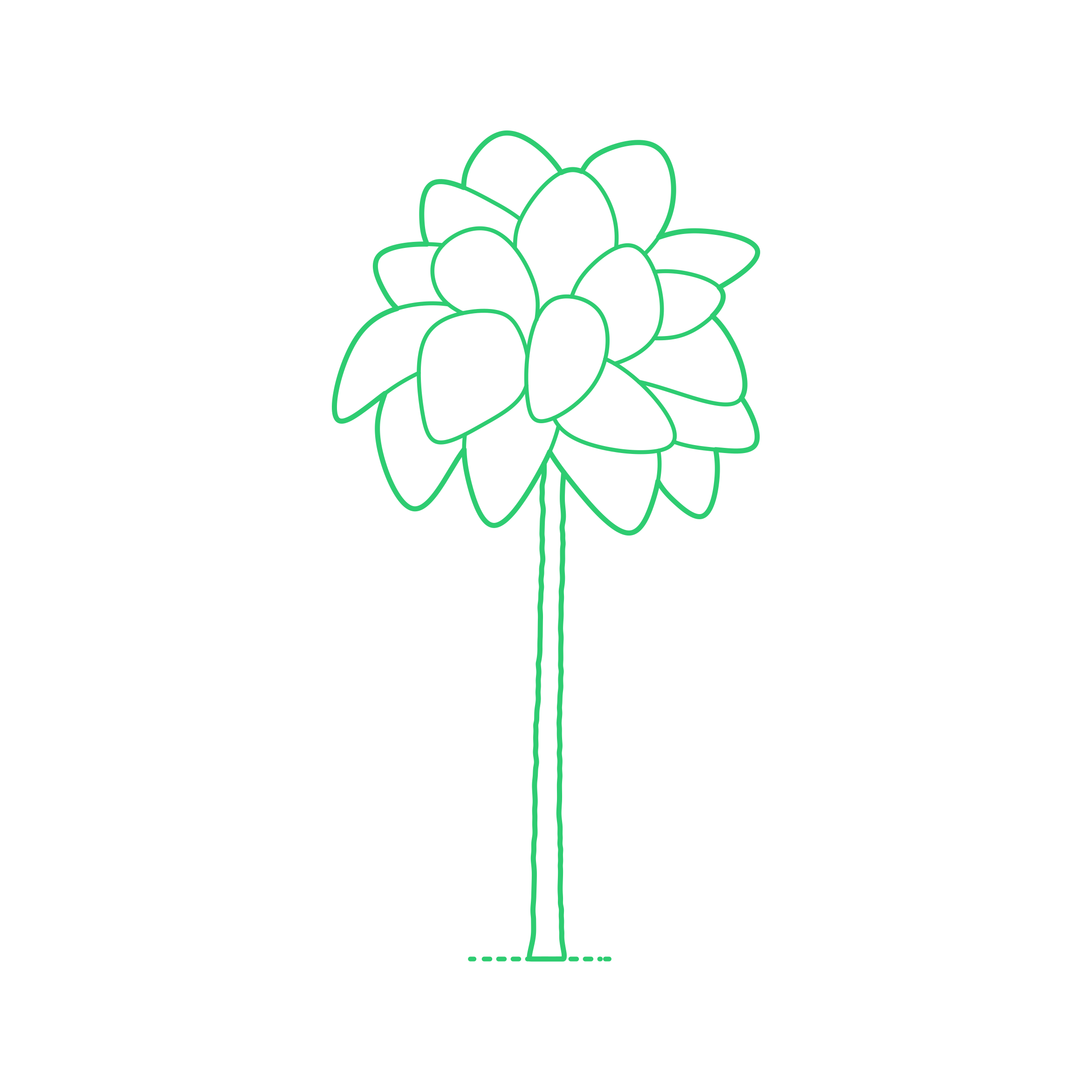 Plants Palms Chinese Fan Palm Outline Svg Vector Free Vectors